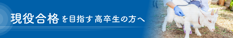 現役合格を目指す高校生の方へ