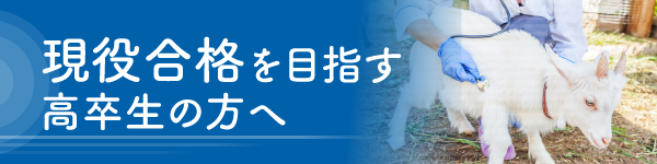 現役合格を目指す高校生の方へ