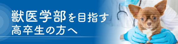 獣医学部を目指す高卒生の方へ