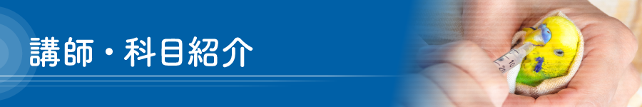 講師・科目紹介