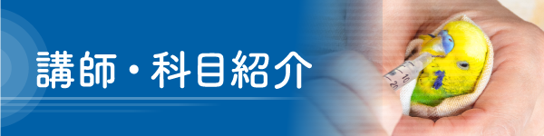 講師・科目紹介