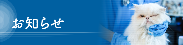 IMU予備校トピックス